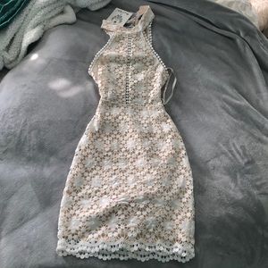 Angel Biba white and nude lace bodycon mini dress